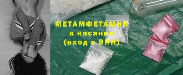 шишки Белокуриха