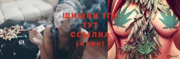 хмурый Богородск