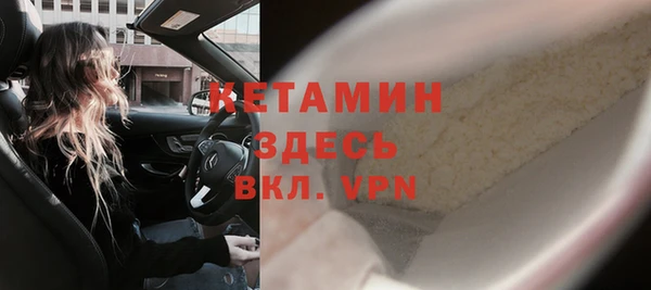 шишки Белокуриха
