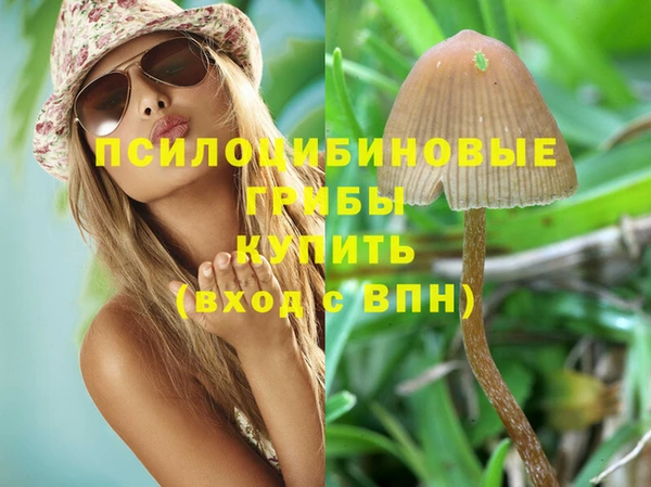 амфетамин Богородицк