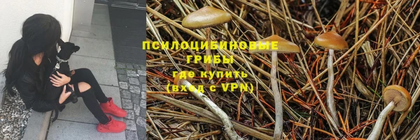 наркотики Богданович