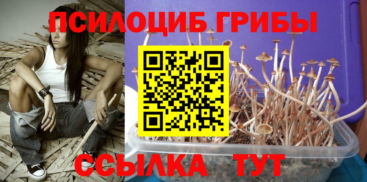 Псилоцибиновые грибы ЛСД  Вход с VPN  купить  цена  Пятигорск 
