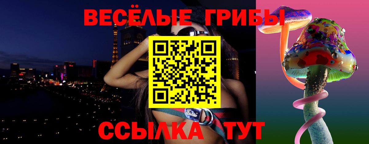 Псилоцибиновые грибы прущие грибы Пятигорск